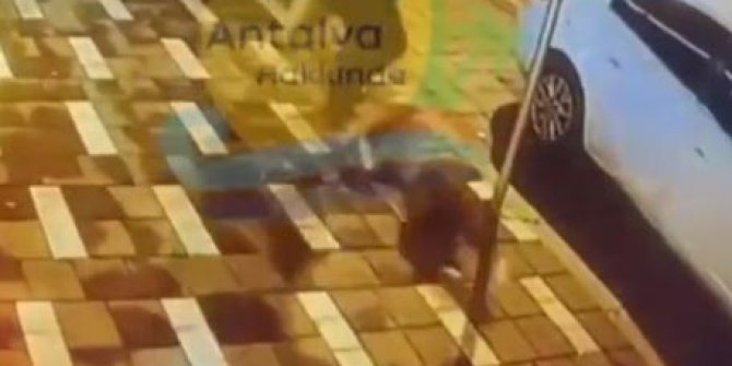 Düzce'de meydana gelen depremde camdan atlayarak yaralanan vatandaş