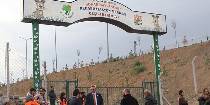 Sözde hayvanseverler Mamak’ta barınak bastı