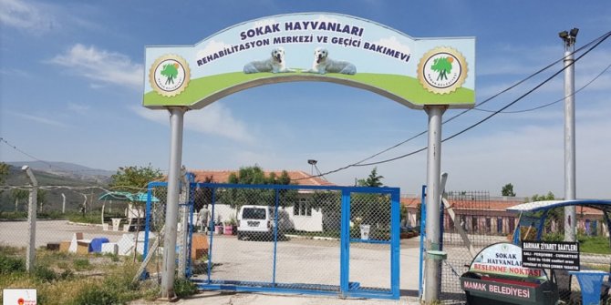 Mamak Belediyesi ‘Mamak’ta Katliam var’ iddialarına karşı açıklama yaptı