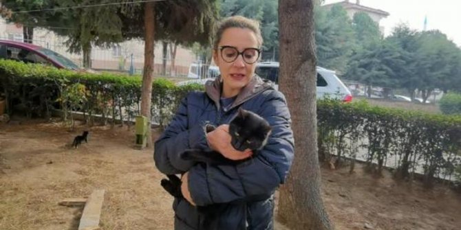 5 ayda baktığı 4 kedi öldürüldü yavru kedisi patileri kesilmiş bulundu