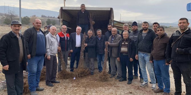 Ankara’nın Güdül ilçesinde 9 bin hünnap fidanı dağıtıldı