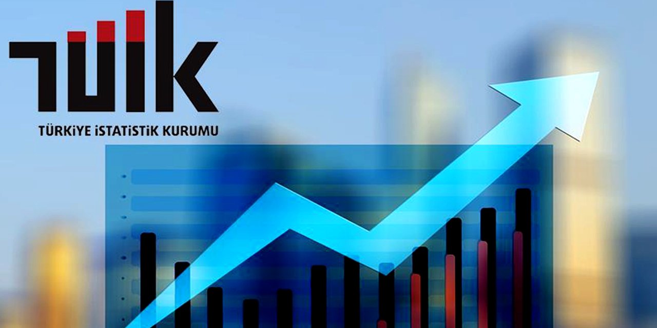 TÜİK 'Girişimcilik ve İş Demografisi-2021’i açıkladı