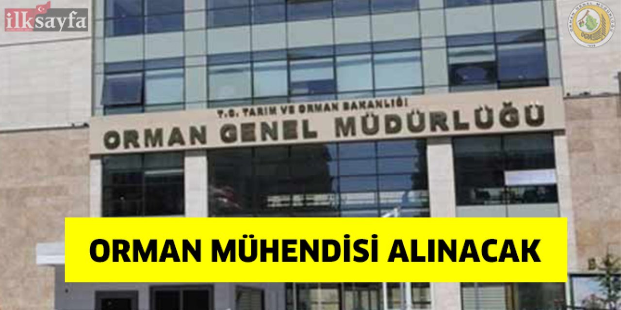 Orman Genel Müdürlüğü 249 Orman Mühendisi alacak