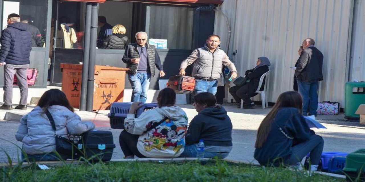 Tarım Müdürlüklerinde evcil hayvanlara çip taktırma yoğunluğu yaşanıyor
