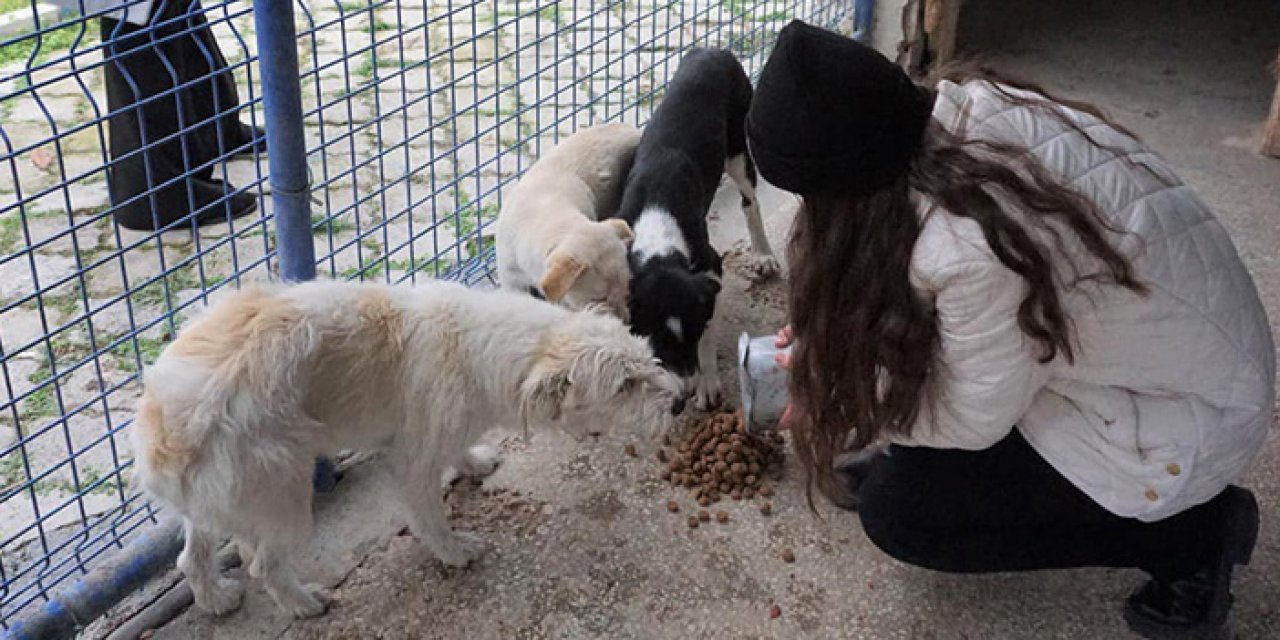 Beypazarı’nda öğrenciler hayvanlara mama ve su verdi