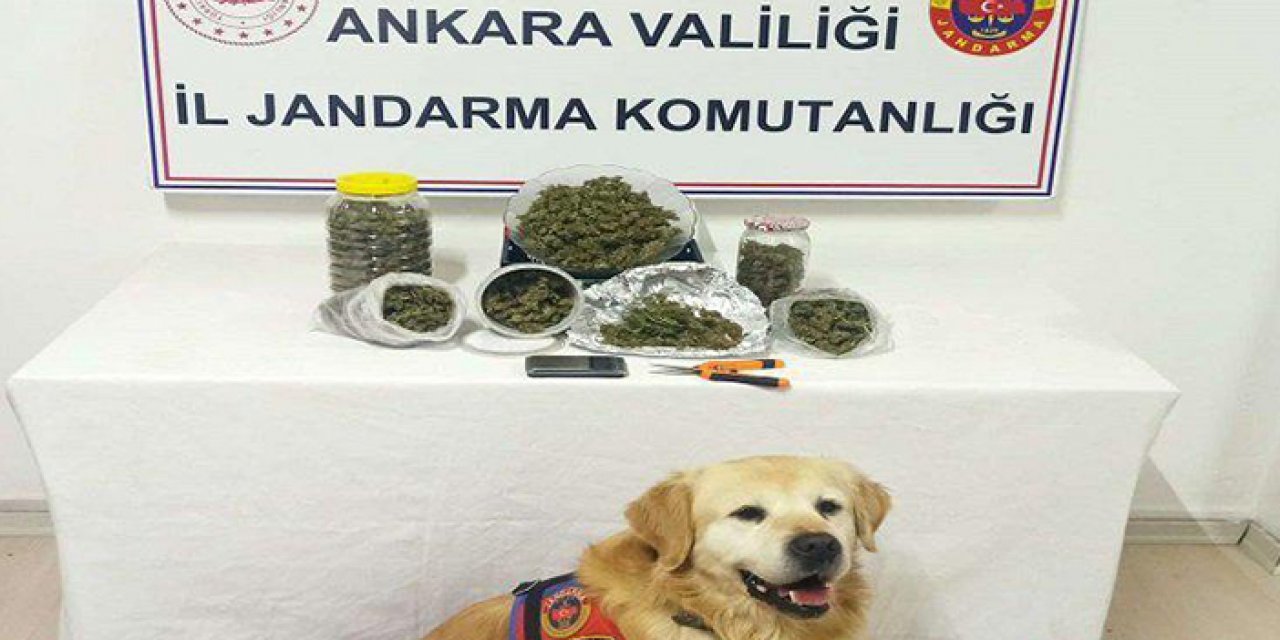 Mamak ve Çankaya’da uyuşturucu operasyonu: 2 gözaltı