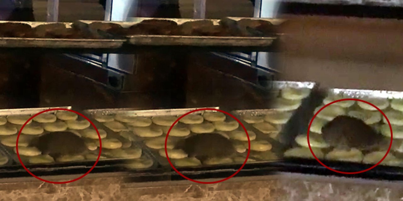 Fareli fırına 15 gün mühür vuruldu