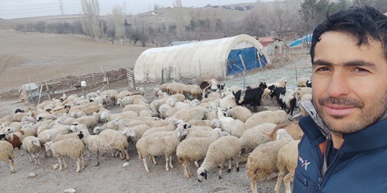Gölbaşı’nda besicilik yapan Halil Demir’in 15 koyunu telef oldu