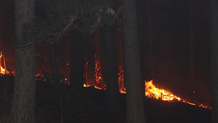 Kaz Dağları’nda yangın çıktı