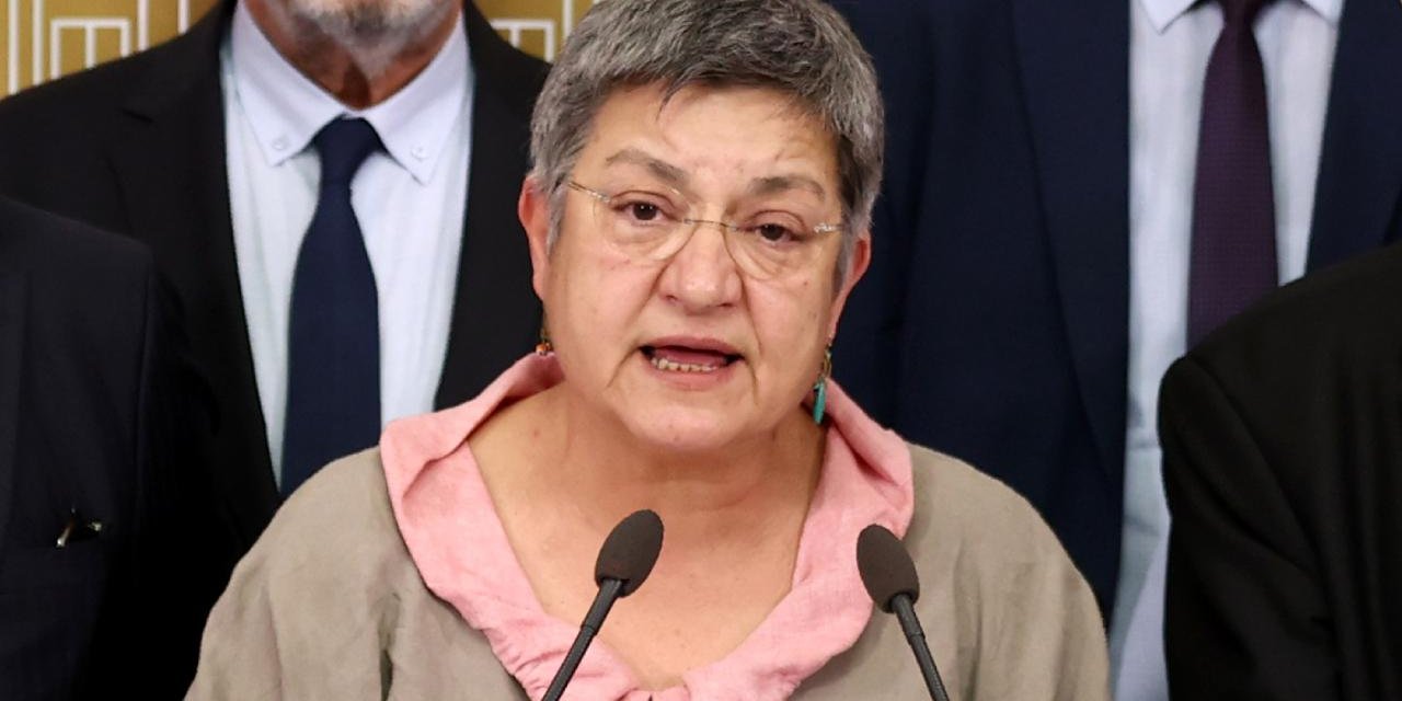 TTB Başkanı Şebnem Korur Fincancı hakkında karar verildi!