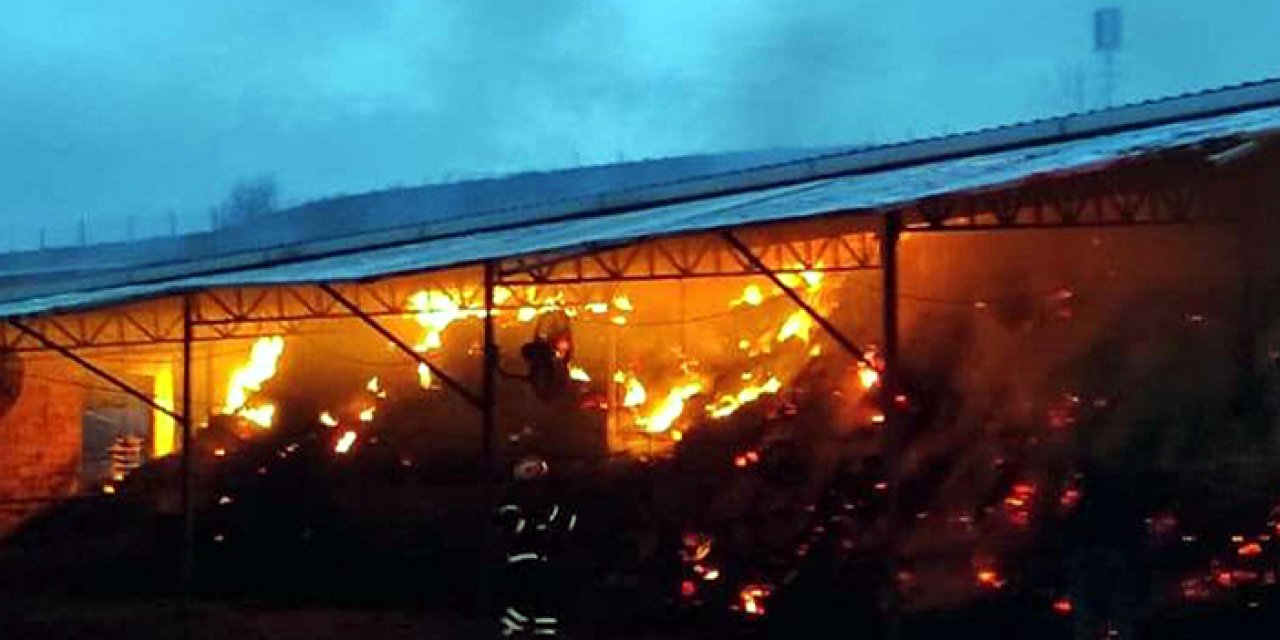 Tekirdağ’da çiftlik yandı: 6 hayvan öldü