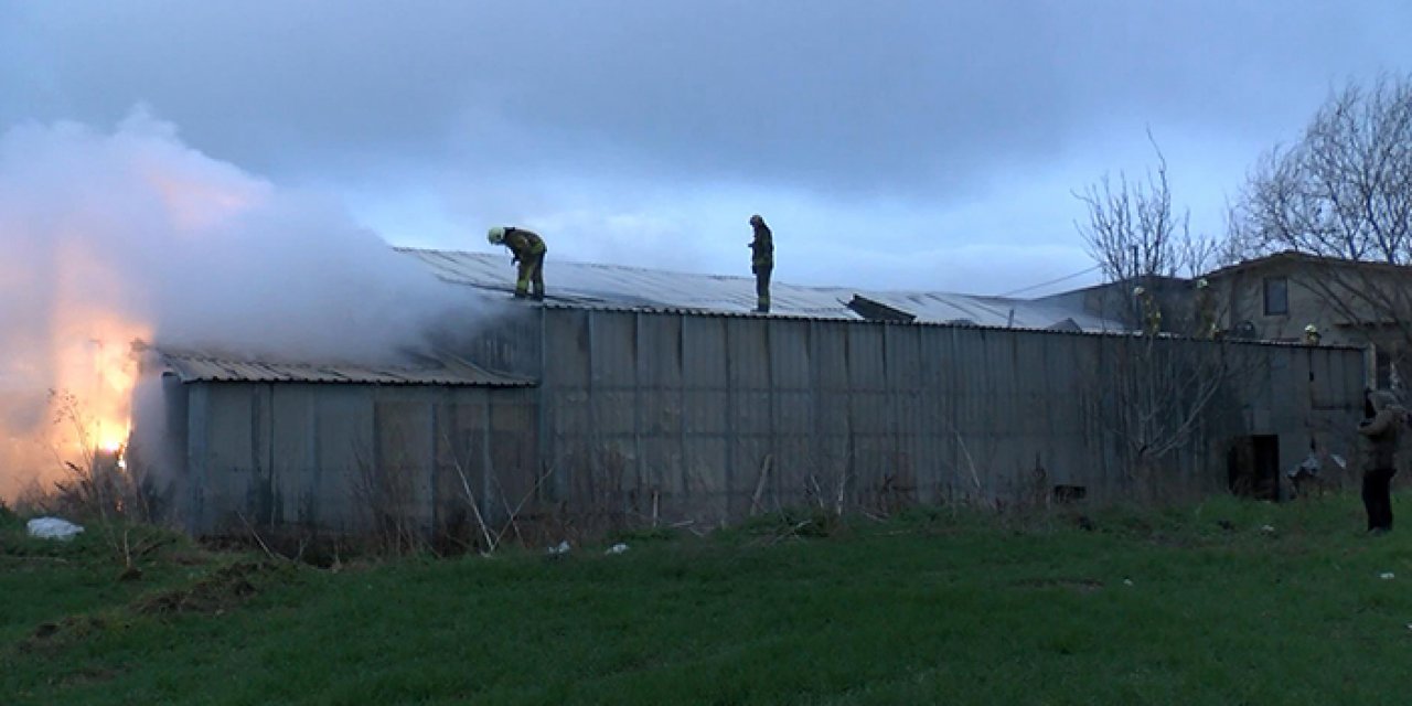 Çatalca’da ahırda yangın çıktı: 7 hayvan öldü