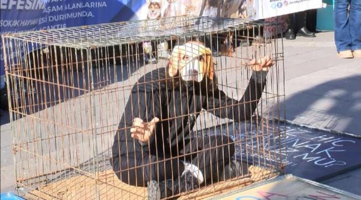 Hayvanseverler Ankara’da, kafes içinde sokak hayvanları eylemi yaptılar