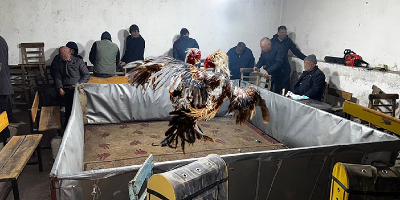 Kahvehanede horoz dövüştüren 27 kişiye 109 bin 485 TL ceza