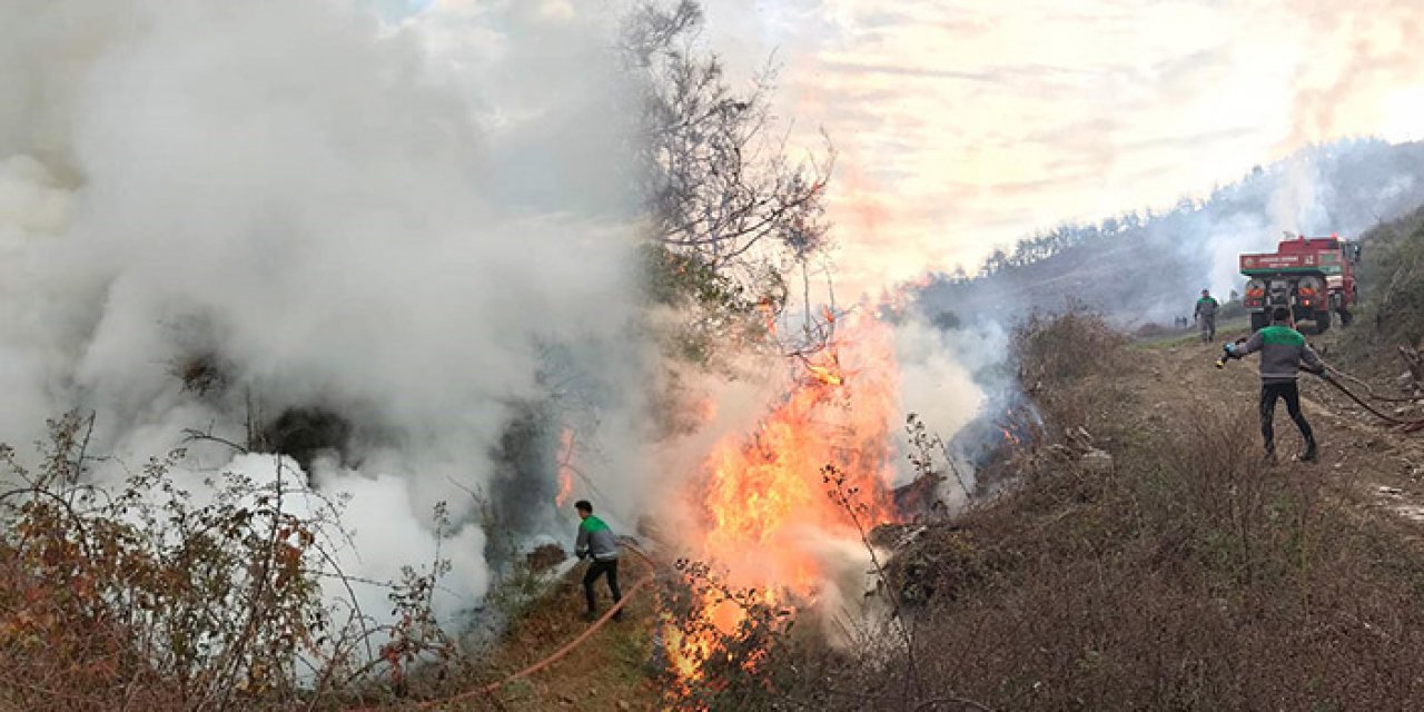 Andırın’da orman yaktığı iddia edilen şüpheli tutuklandı