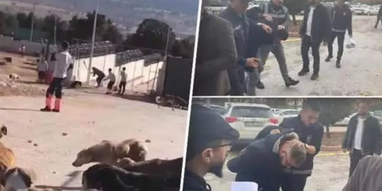Konya'da kürekle köpek öldürenlerin cezası belli oldu