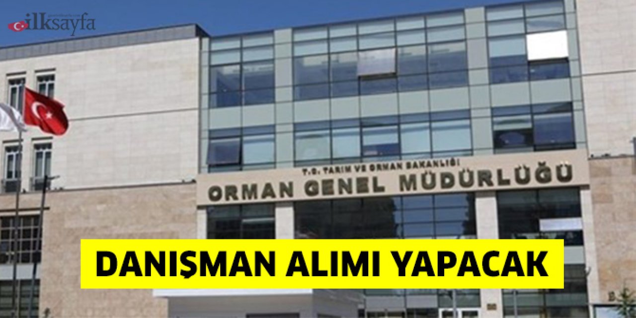 Orman Genel Müdürlüğü danışman alımı yapacak