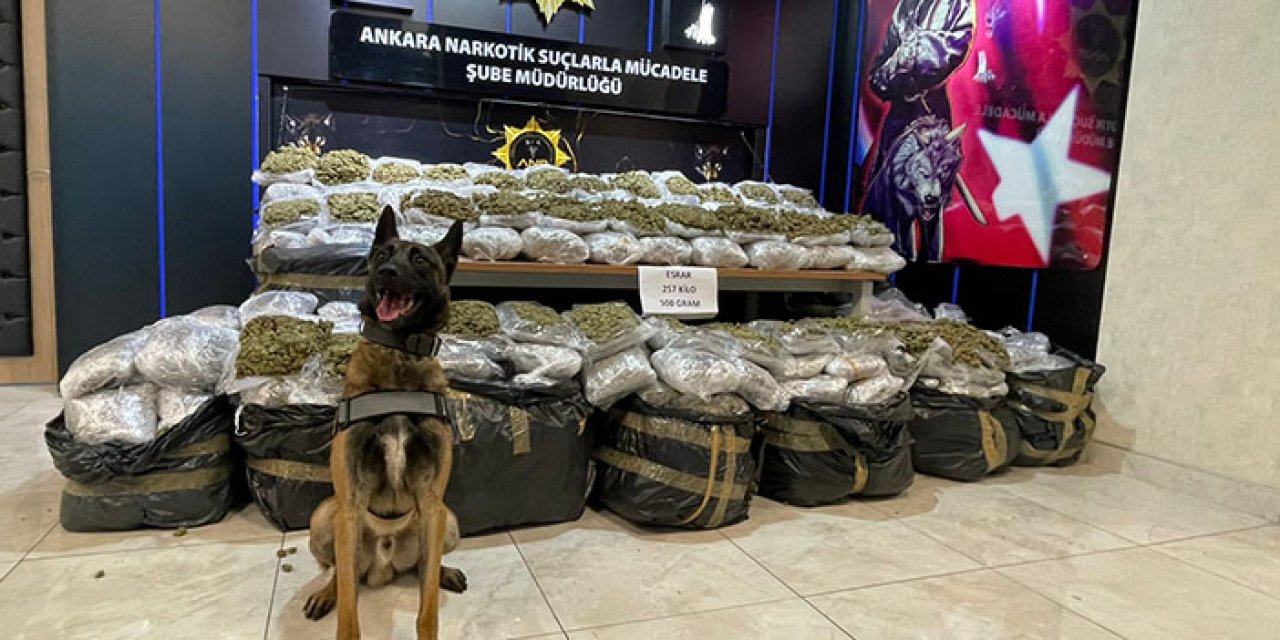 Gölbaşı’nda durdurulan bir TIR’dan 257 kilogram esrar yakalandı