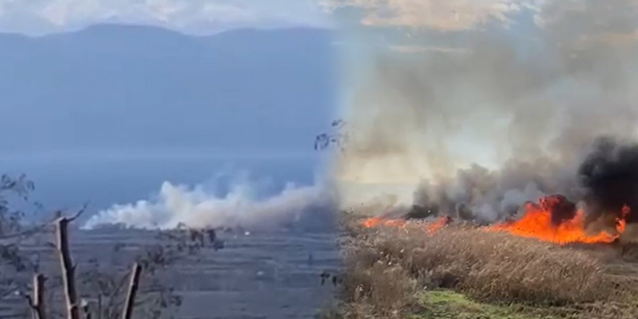 İznik gölü kıyısında sazlık yangını: 10 dönüm alan yandı