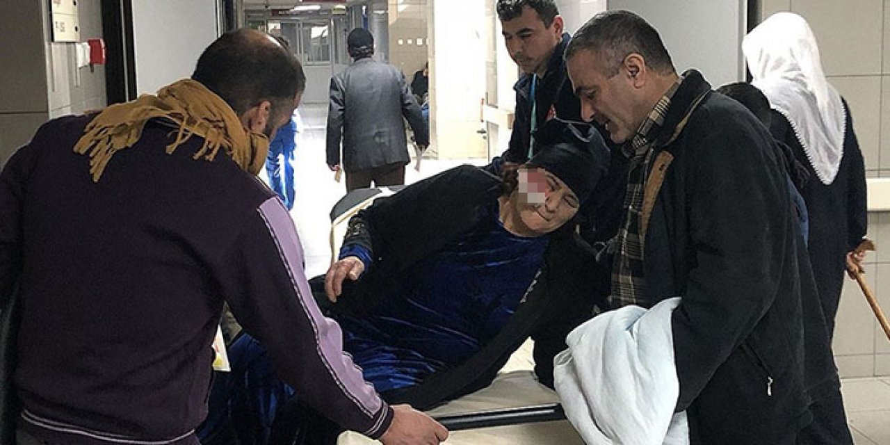 Bursa’da 70 yaşındaki kadın köpek saldırısında yaralandı