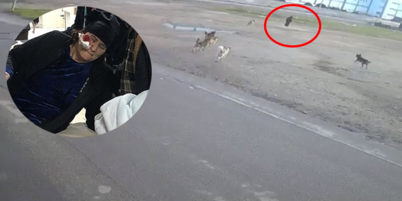 Bursa’da sokak köpeklerinin yaşlı teyzeye saldırı anı kameraya yansıdı