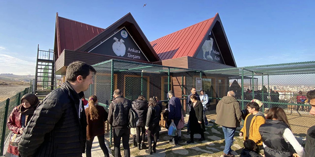 Pursaklar’da Endemik Vadi yoğun ilgi görüyor