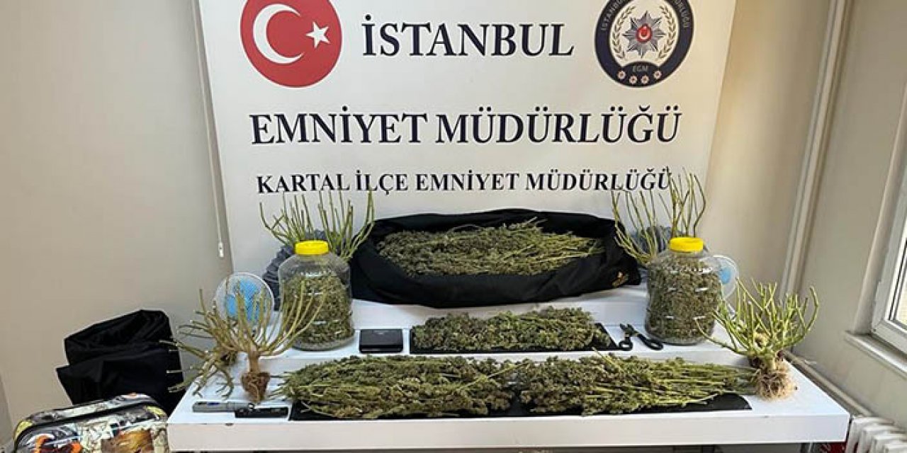 İstanbul Kartal’da uyuşturucu operasyonu: 2 gözaltı