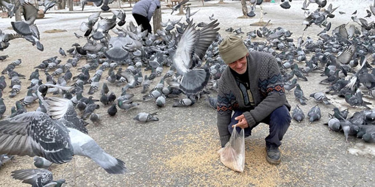 Ardahan’da vatandaşlar yiyecek bulmakta zorlanan güvercinleri besledi