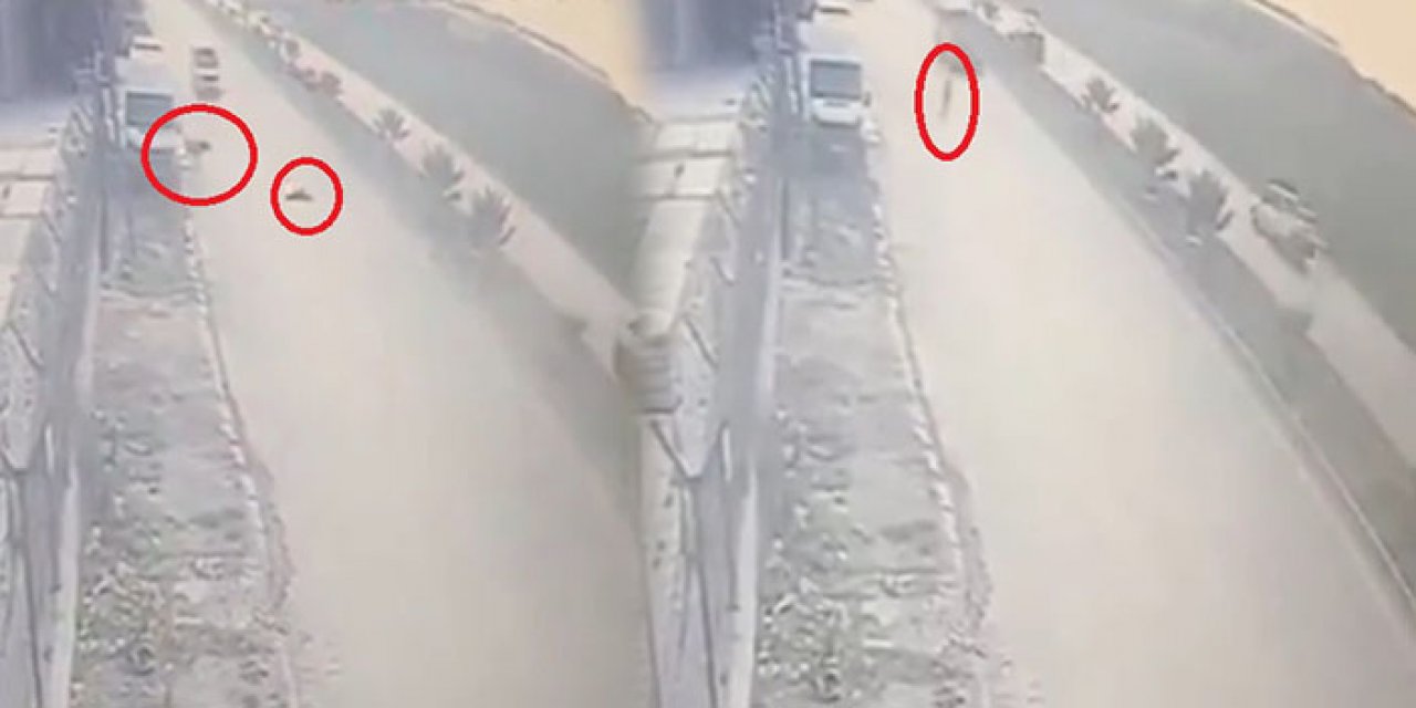 Köpekten kaçarken minibüs çarptı yaşamını yitirdi