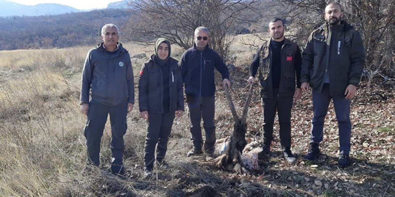 Kaçak avcılar kan izlerinden yakalandı