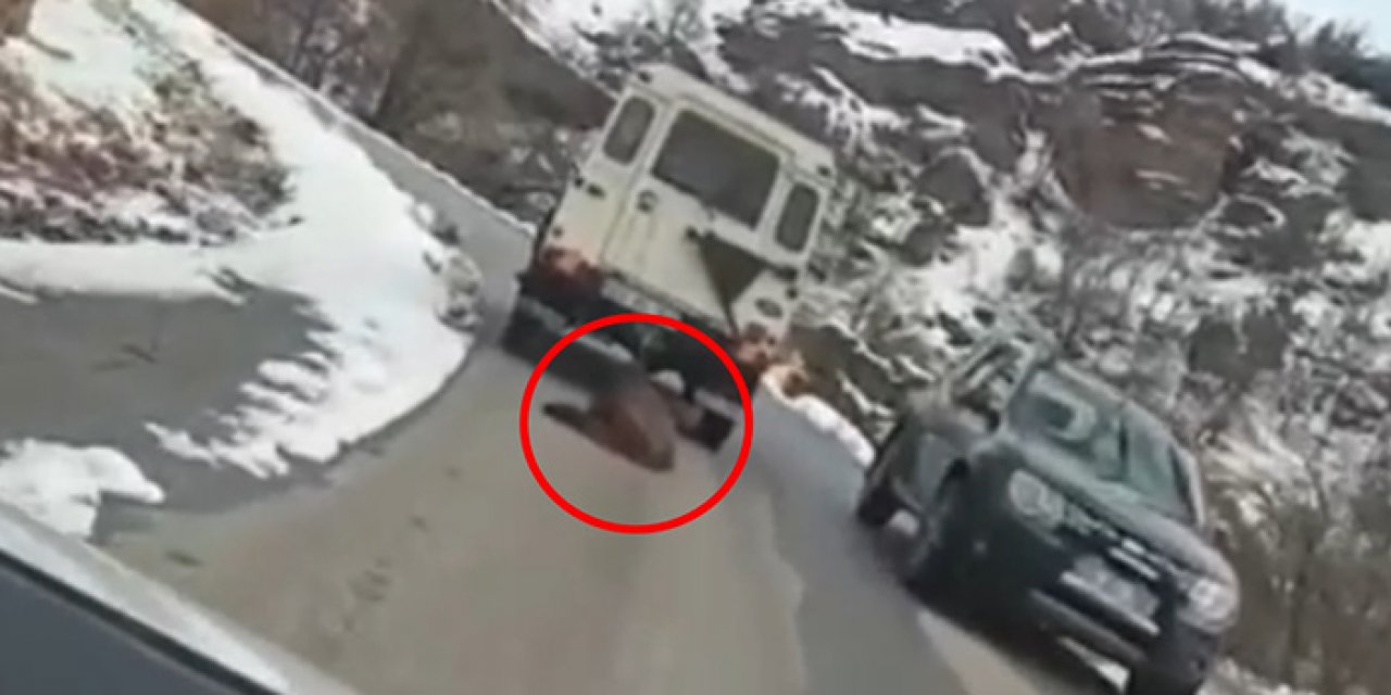Ölü domuzu cipin arkasında kilometrelerce sürüklediler