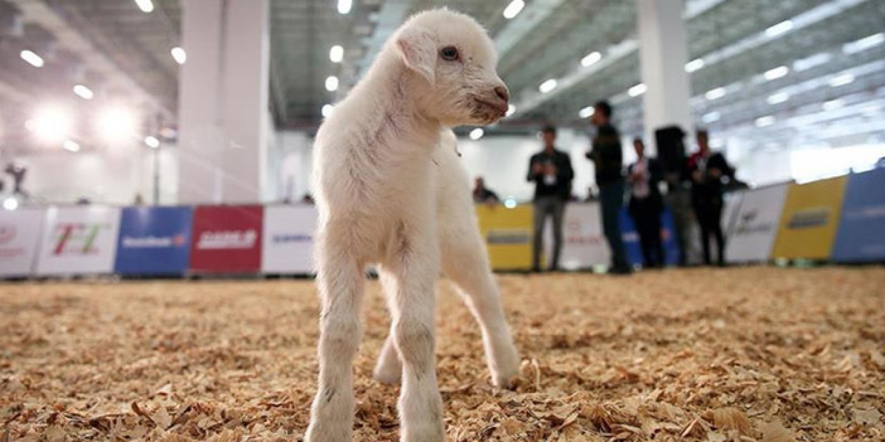 18. Uluslararası Tarım ve Hayvancılık Fuarı İzmir Agroexpo ne zaman, nerede düzenleniyor?