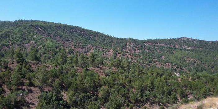 Bozkaya köyü nerede? Bozkaya köyü Ankara'ya kaç km uzaklıkta? Bozkaya köyüne nasıl gidilir?