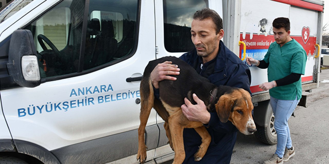 ABB’den bir rekor daha