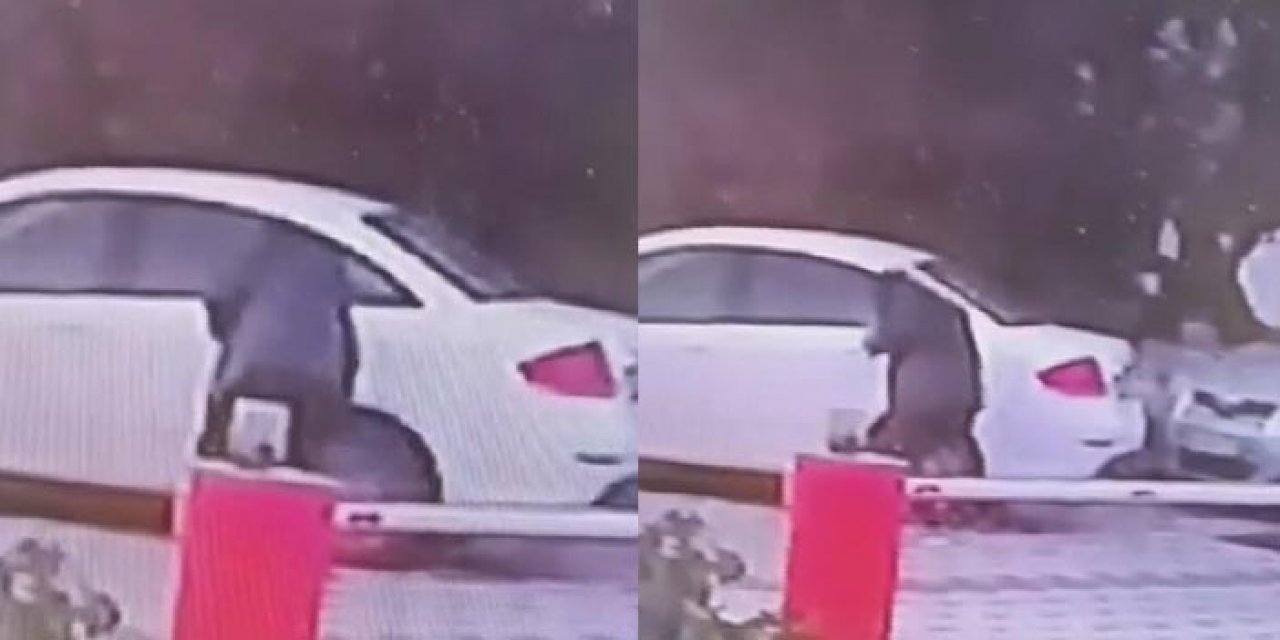 Park halindeki araçların lastiklerini patlattı