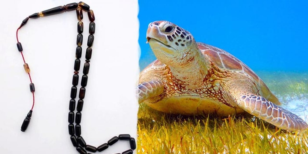 Caretta Caretta kabuğundan tespih satıyorlar