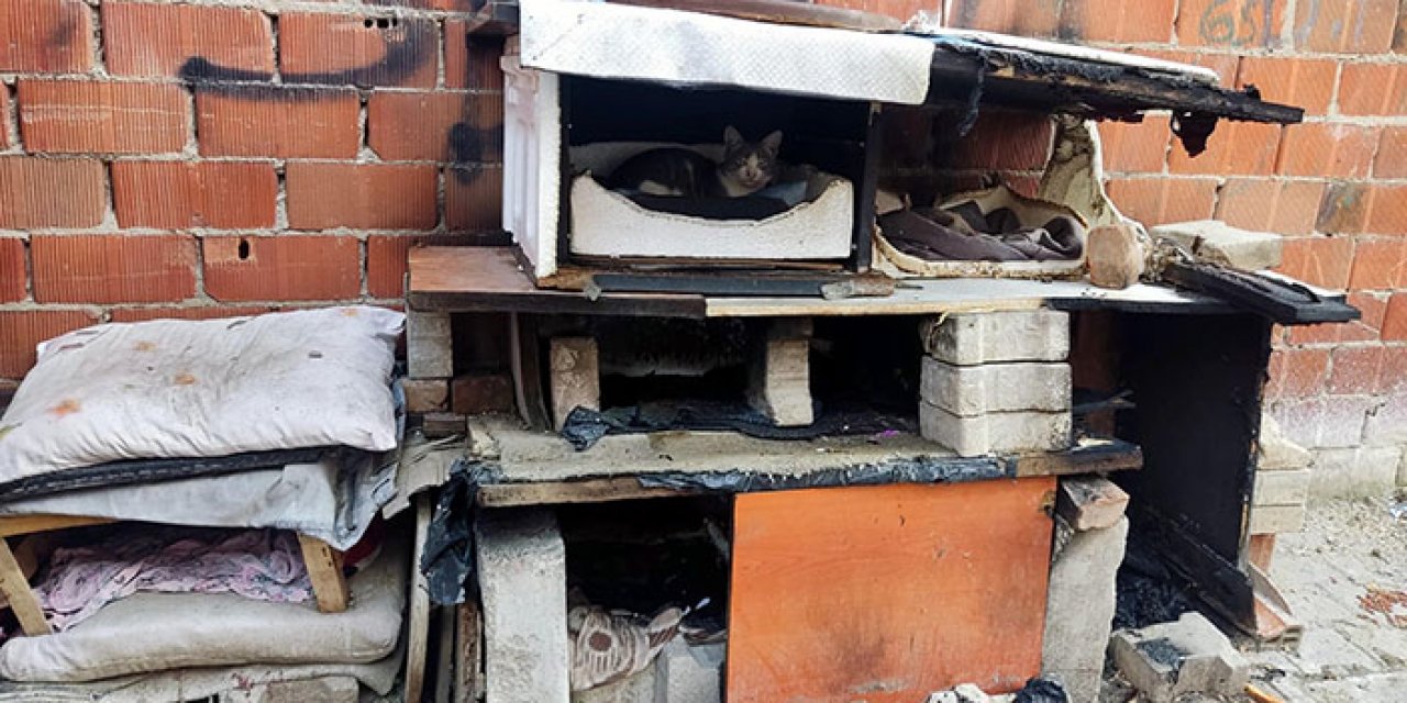 Kedi kulübelerini yakıp kaçtı