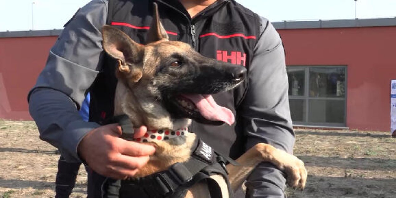 İHH'nın arama köpekleri enkazdan 50 kişiyi kurtardı