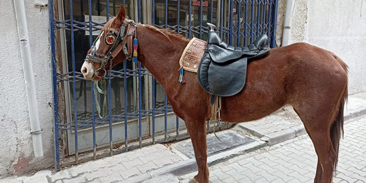 Alkollü at binen kişiye ceza