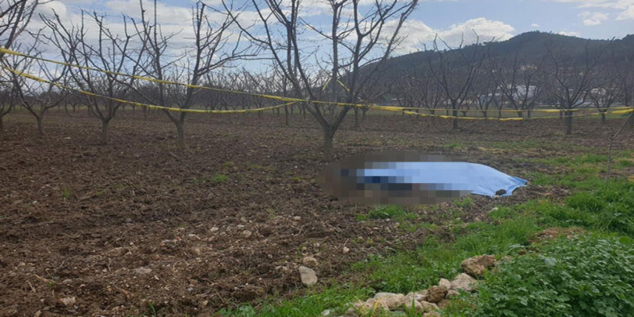 Kiraz bahçesinde başından vuruldu