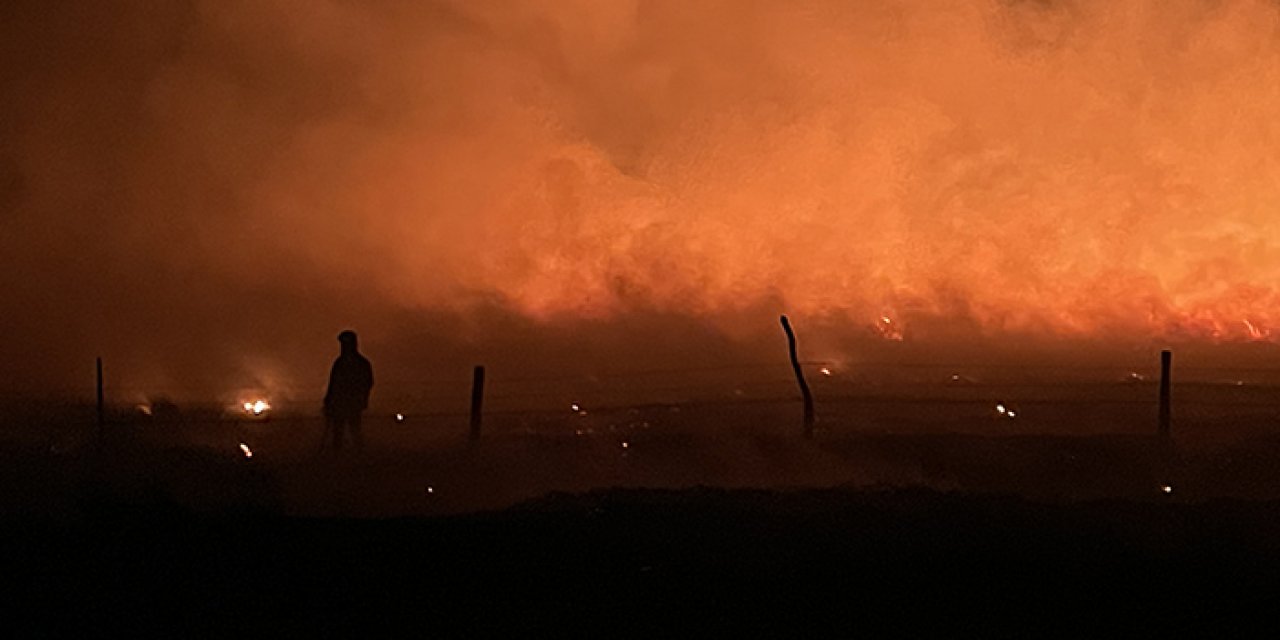 Meralık arazi alev alev yandı: 30 dönüm alan küle döndü