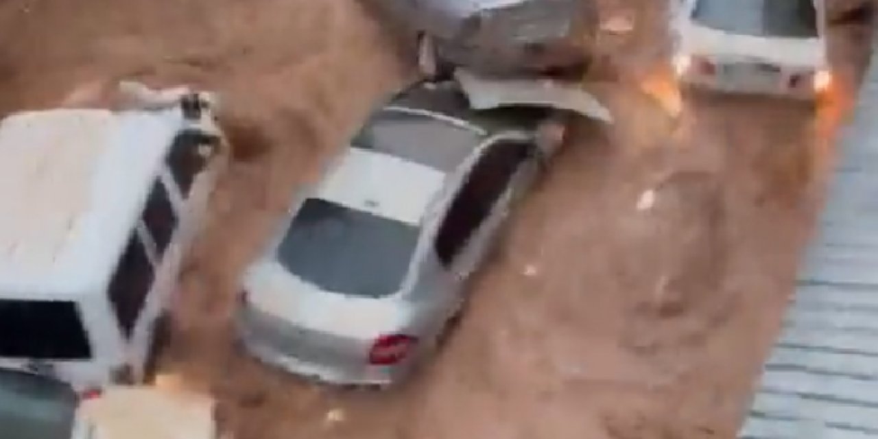 Urfa'dan dehşete düşüren görüntüler