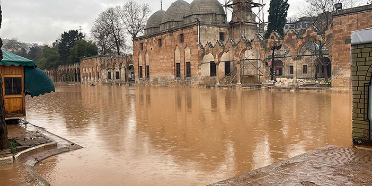 Sel sonrası Balıklıgöl’deki balıklara ne oldu?