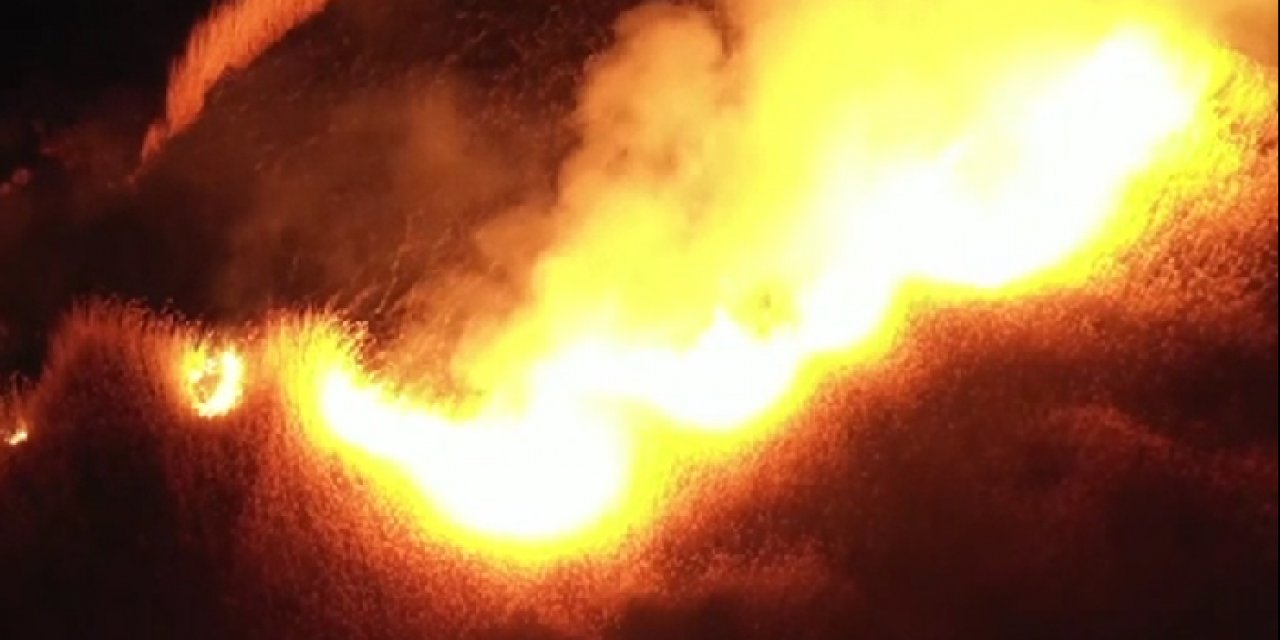 Bir felaket haberi de Van’dan: Kuş Cenneti cayır cayır yandı