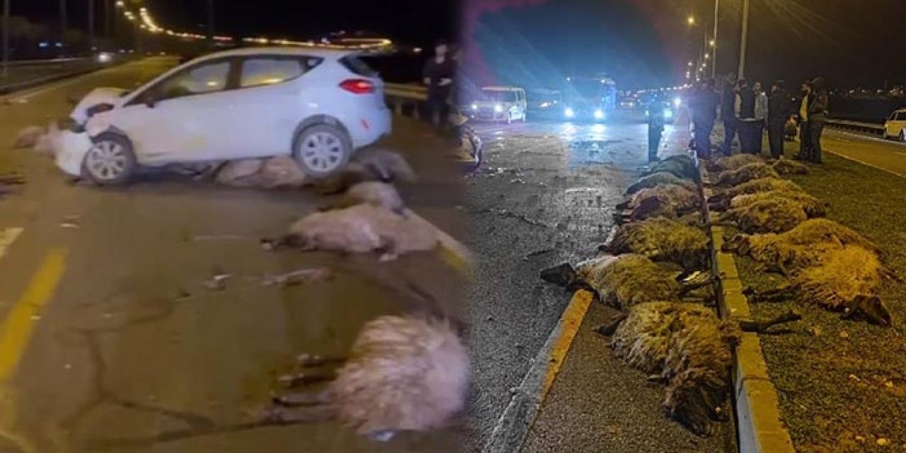 Otomobil koyun sürüsünün arasına daldı