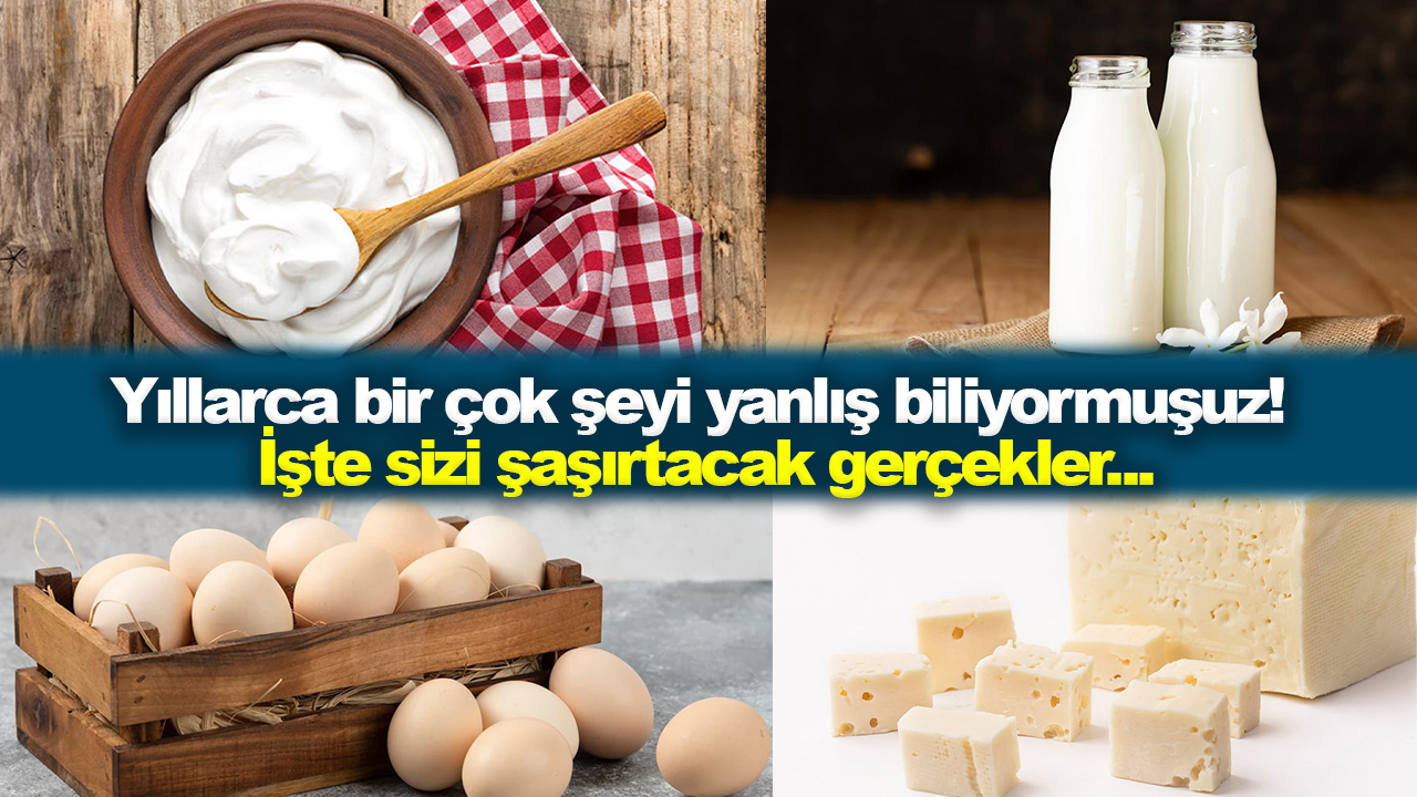 Yıllarca bir çok şeyi yanlış biliyormuşuz! İşte sizi şaşırtacak gerçekler...