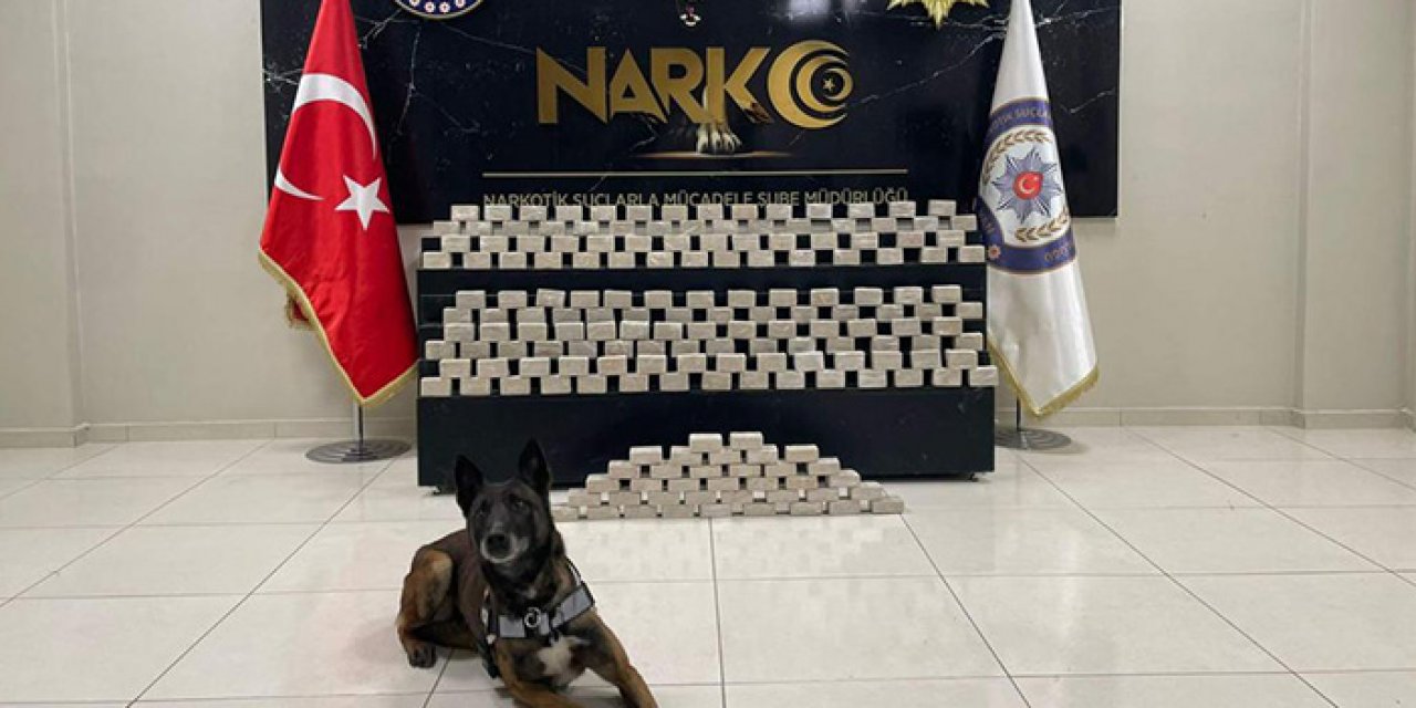 Narkotik köpeğinden başarılı görev