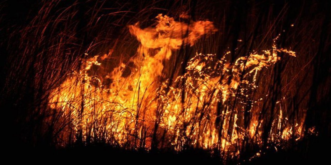 Mersin Göksu Deltası’nda yangın çıktı