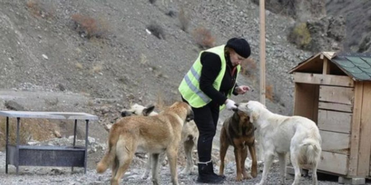 Ankara Üniversitesi ile Mamak Belediyesi arasında protokol