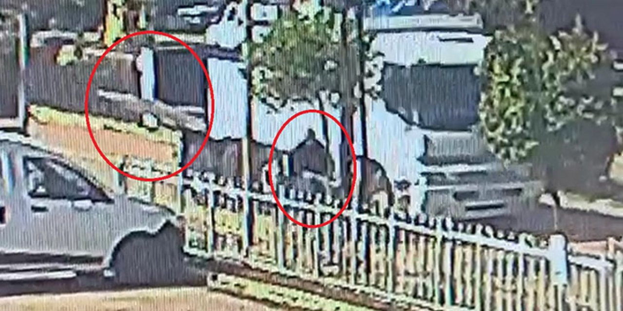 Kamyonun açık olan kasa kapağı, bisikletliyi hastanelik etti